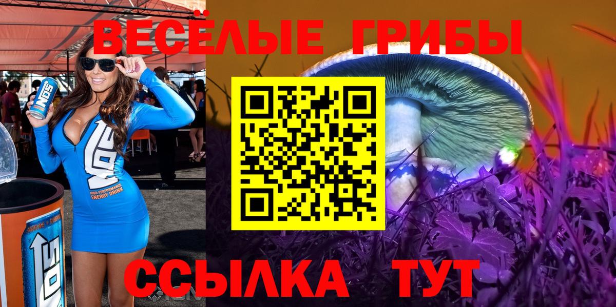 Псилоцибиновые грибы Magic Shrooms  Вход с VPN  Мыски  Галлюциногенные грибы Psilocybine cubensis 